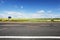 Asphalt road. Field of sun flowers on horizon