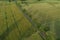 Asphalt road among fields. Photo from the drone.