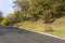 Asphalt road through the forest