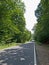 Asphalt road in a forest