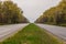 Asphalt road and forest. Cars drive along the road