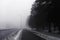 An asphalt road that goes through a misty dark misterious pine forest. French Alsace