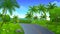 Asphalt road going through the hill of coconut plantation with forest, trees and mountain