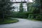 Asphalt road among the green grass of the tall clipped bushes of growing palm trees on the background of a sanatorium