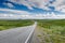 Asphalt road in green plains Norway tundra