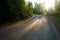 Asphalt road in green wild forest at dawn background