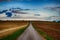 Asphalt road with horizon covered with trees in the evening. Croped agriculture field. Dark cloud,blue sky.