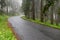 Asphalt road leading through the mountains in the forest. Route for cars in southern Poland