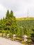 Asphalt road leading to TV transmitter and lookout tower on the summit of Praded Mountain, Hruby Jesenik, Czech Republic