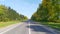 The asphalt road with markings and sandy shoulders is straight. Along the road on grass lawns grow spruce trees and various decidu