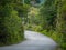 Asphalt Road Between Mountains and Forest