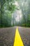 Asphalt road in Mystic Foggy Forest Scenery.