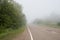 Asphalt road passing through a foggy forest.