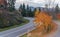 Asphalt road running along the slope overgrown with coniferous forest in mountain autumn