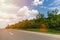 Asphalt road, the sky with clouds and trees. Glare.