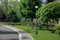 An asphalt road with a stone curb and a tarmac pedestrian sidewalk.