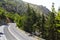 Asphalt road in a summer forest. Crete mountains