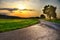 Asphalt road, sunset over meadow and broad leaf tree at summer evening, sky, green grass.Relaxing atmosphere. Countryside landsc