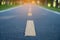 Asphalt road surface for running or exercise path in the park.Asphalt road through the deep park morning. nature background with