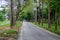 Asphalt road surrounded by green trees in the campus area