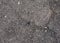 Asphalt Road Texture, Grainy Background, Small Chopped Stones