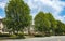 Asphalt road with tree in city. Quiet street scene of the sidewalk and idyllic homes in a suburban neighborhood