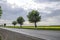 Asphalt road with trees on the roadside. Field of blossoming rap