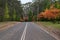 Asphalt road with white dividing lines and autumn trees on roadside