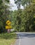 Asphalt road with Wildlife crossing sign. Nature and wildlife views in the middle of the jungle in Thailand National