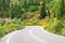 Asphalt road winding through flower hills