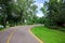 Asphalt road with yellow markings leaving for a turn in the park.