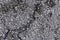 Asphalt rough texture background gritty-8