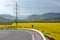 Asphalt route arround the oilseed field, electric column in background