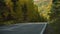 Asphalt Suburban Highway among a dense Autumn Forest on a Sunny Day. Cars pass quickly along the Winding Road. Concept