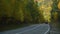 Asphalt Suburban Highway among a dense Autumn Forest on a Sunny Day. Cars pass quickly along the Winding Road. Concept