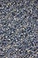 Asphalt Tarmac Texture Closeup