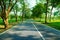 Asphalt walking way in green public park with morning light use