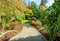 Asphalt walkway in a city park with flower beds, green trees and