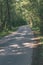 asphalt wavy road in forest in summer - vintage retro film look
