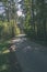 asphalt wavy road in forest in summer - vintage retro film look