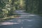 asphalt wavy road in forest in summer - vintage retro film look