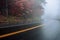Asphalt wet road curve on the mountain forest under fog
