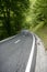 Asphalt winding curve road in a beech forest