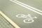 asphalted bicycle track with a marking/asphalted bicycle track with a marking. Toned