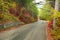 Asphalted mountain road through autumn forest