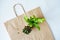 Asplenium crispy wave and anacampseros sunrise house plants on kraft bag