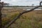 Assateague Island Salt Marsh During Autumn