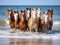 Assateague Wild Ponies on the Beach