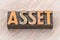 Asset word abstract in wood type