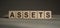 ASSETS word written on wooden blocks. Financial concept